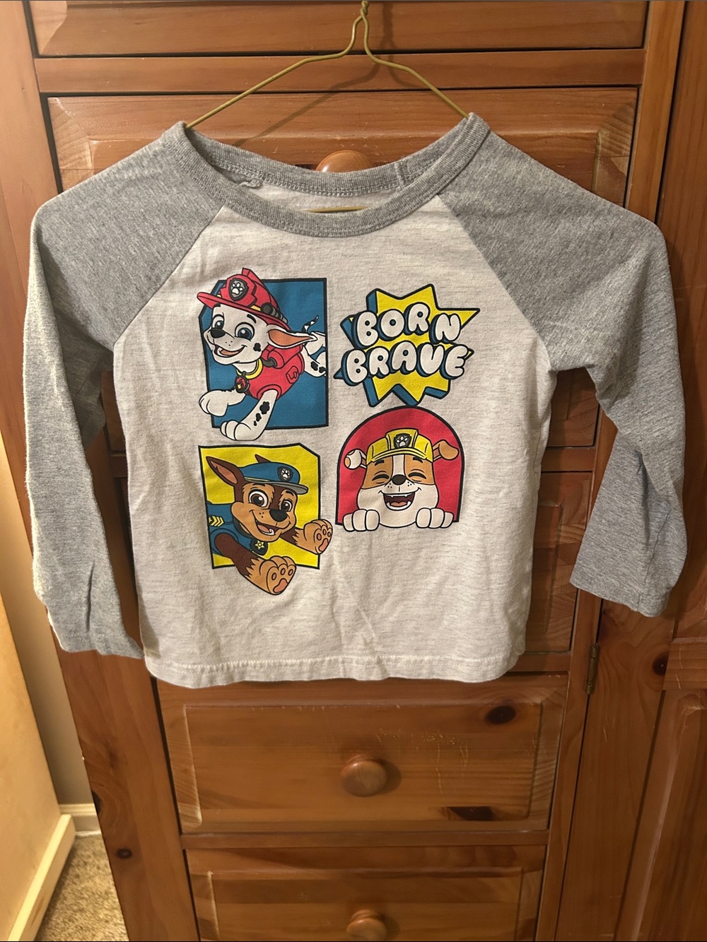 PAW Patrol 'Born Brave' Raglan Graphic Tee - Gray & White